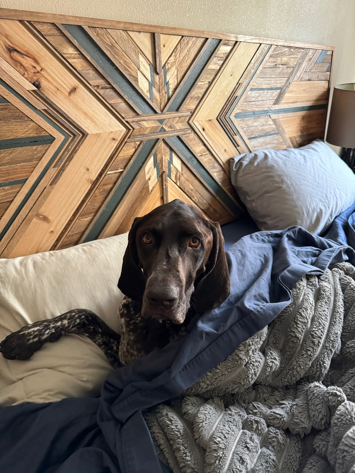Dog resting in front of reclaimed wood artwork